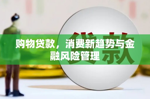 东至购物贷款，消费新趋势与金融风险管理