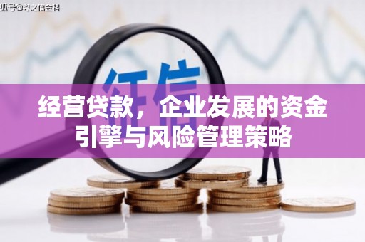 东至经营贷款，企业发展的资金引擎与风险管理策略