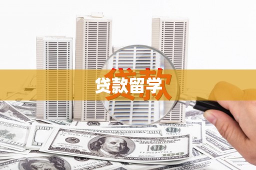 东至贷款留学