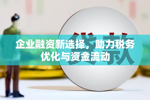 东至企业融资新选择，助力税务优化与资金流动
