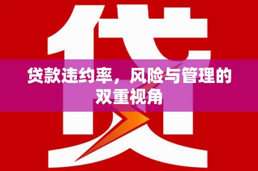 东至贷款违约率，风险与管理的双重视角