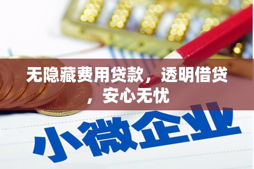 东至无隐藏费用贷款，透明借贷，安心无忧