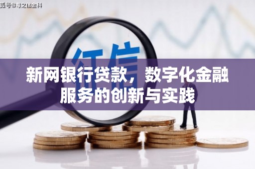 东至新网银行贷款，数字化金融服务的创新与实践