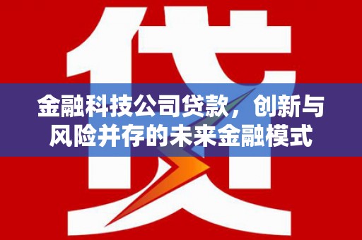 东至金融科技公司贷款，创新与风险并存的未来金融模式