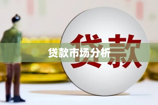 东至贷款市场分析