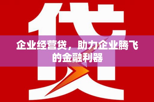 东至企业经营贷，助力企业腾飞的金融利器