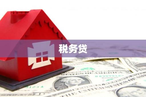 东至税务贷