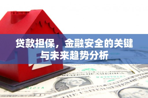 东至贷款担保，金融安全的关键与未来趋势分析