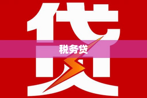 东至税务贷