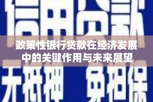 东至政策性银行贷款在经济发展中的关键作用与未来展望