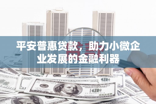 东至平安普惠贷款，助力小微企业发展的金融利器