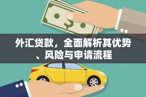 东至外汇贷款，全面解析其优势、风险与申请流程