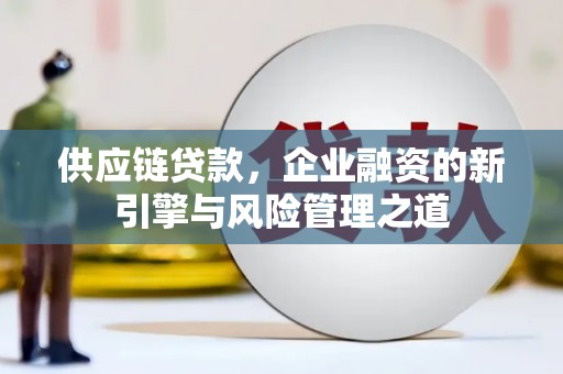 东至供应链贷款，企业融资的新引擎与风险管理之道