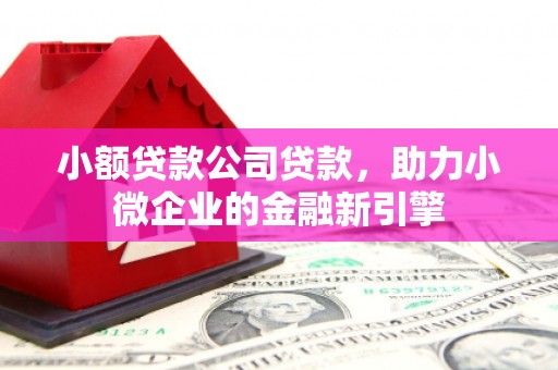 东至小额贷款公司贷款，助力小微企业的金融新引擎