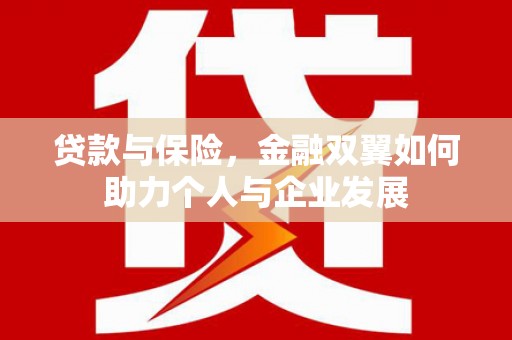 东至贷款与保险，金融双翼如何助力个人与企业发展