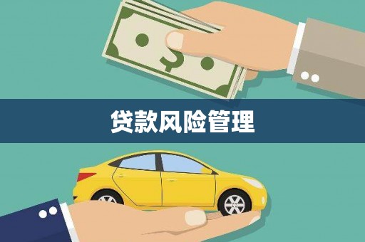 东至贷款风险管理