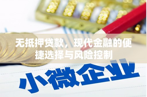 东至无抵押贷款，现代金融的便捷选择与风险控制