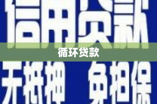 东至循环贷款