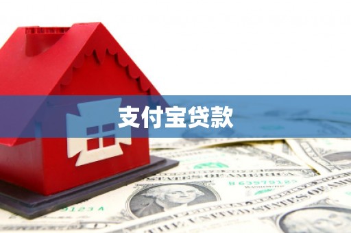 东至支付宝贷款