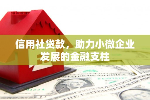 东至信用社贷款，助力小微企业发展的金融支柱