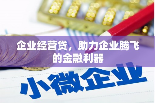 东至企业经营贷，助力企业腾飞的金融利器