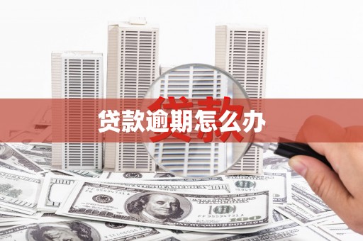 东至贷款逾期怎么办