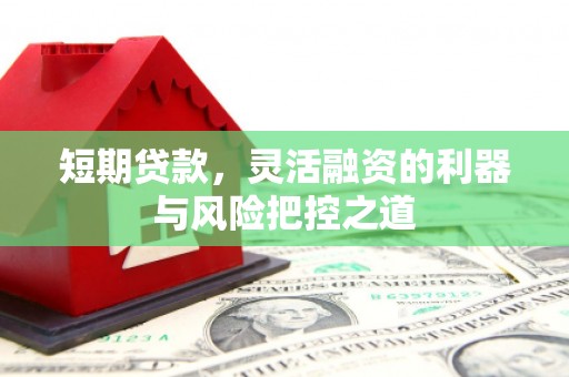 东至短期贷款，灵活融资的利器与风险把控之道