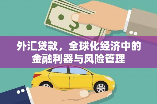 东至外汇贷款，全球化经济中的金融利器与风险管理