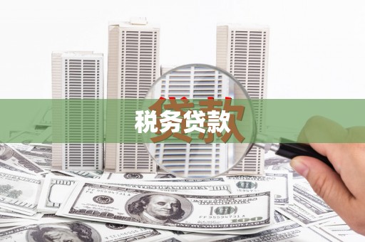东至税务贷款
