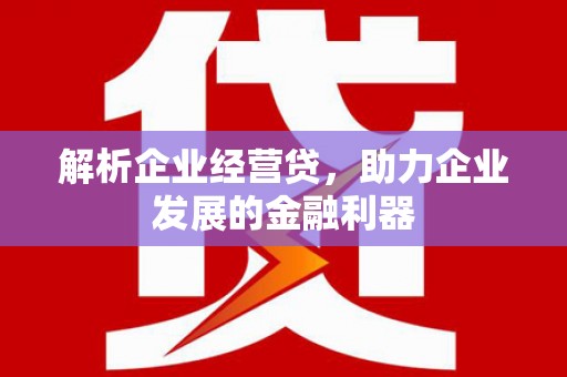 东至解析企业经营贷，助力企业发展的金融利器