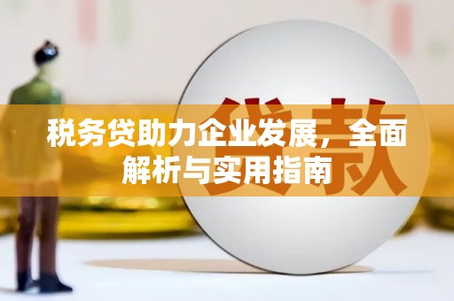 东至税务贷助力企业发展，全面解析与实用指南