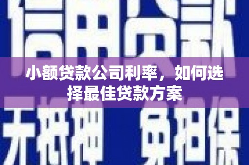 东至小额贷款公司利率，如何选择最佳贷款方案