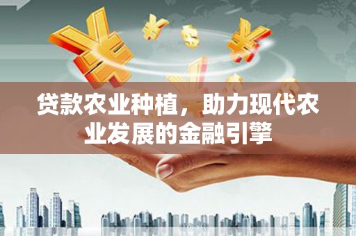 东至贷款农业种植，助力现代农业发展的金融引擎