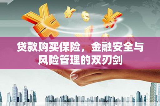东至贷款购买保险，金融安全与风险管理的双刃剑