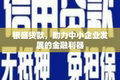 东至银盛贷款，助力中小企业发展的金融利器