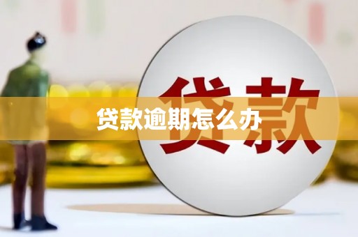 东至贷款逾期怎么办