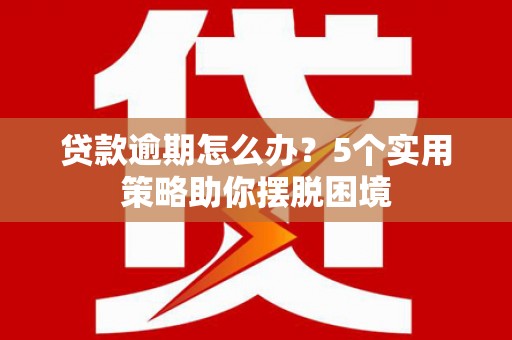 东至贷款逾期怎么办？5个实用策略助你摆脱困境