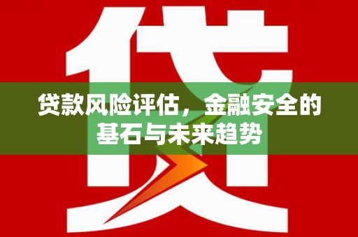 东至贷款风险评估，金融安全的基石与未来趋势