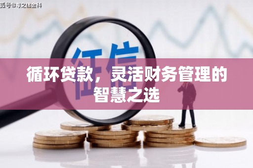 东至循环贷款，灵活财务管理的智慧之选