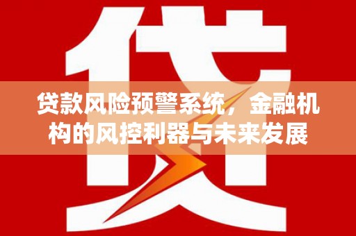 东至贷款风险预警系统，金融机构的风控利器与未来发展