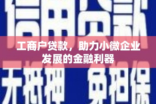 东至工商户贷款，助力小微企业发展的金融利器