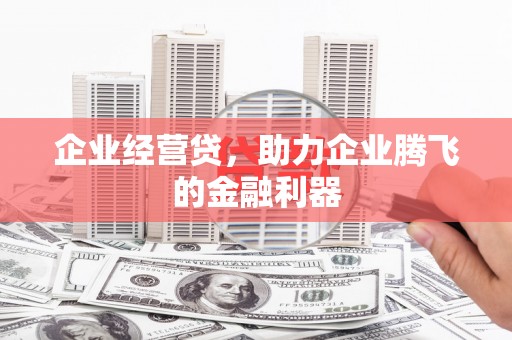 东至企业经营贷，助力企业腾飞的金融利器