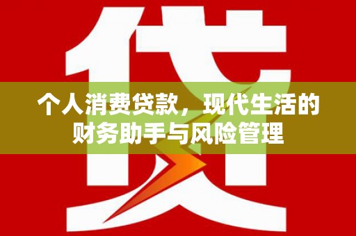 东至个人消费贷款，现代生活的财务助手与风险管理