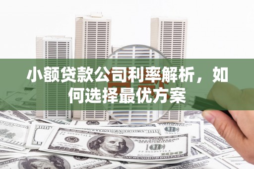 东至小额贷款公司利率解析，如何选择最优方案