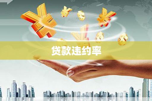 东至贷款违约率