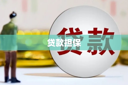 东至贷款担保