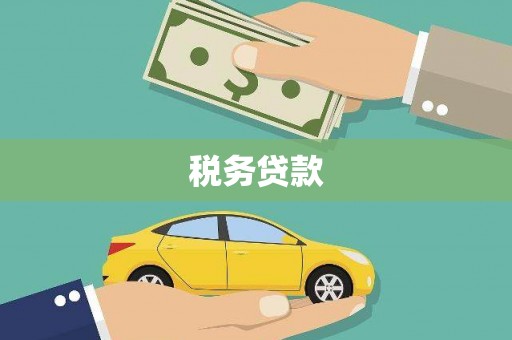 东至税务贷款