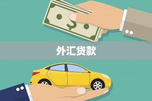 东至外汇贷款