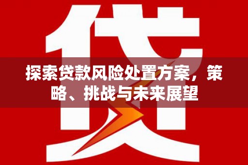 东至探索贷款风险处置方案，策略、挑战与未来展望
