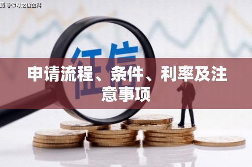东至申请流程、条件、利率及注意事项